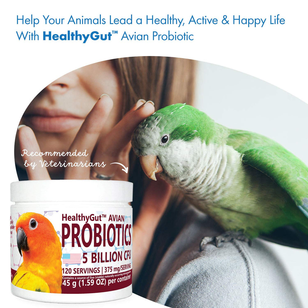 Multi-species probiotic blend for diverse parrot microbiomes.