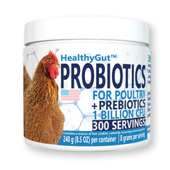 Equa Holistics HealthyGut probiotics for chickens in a bottle support digestive balance.