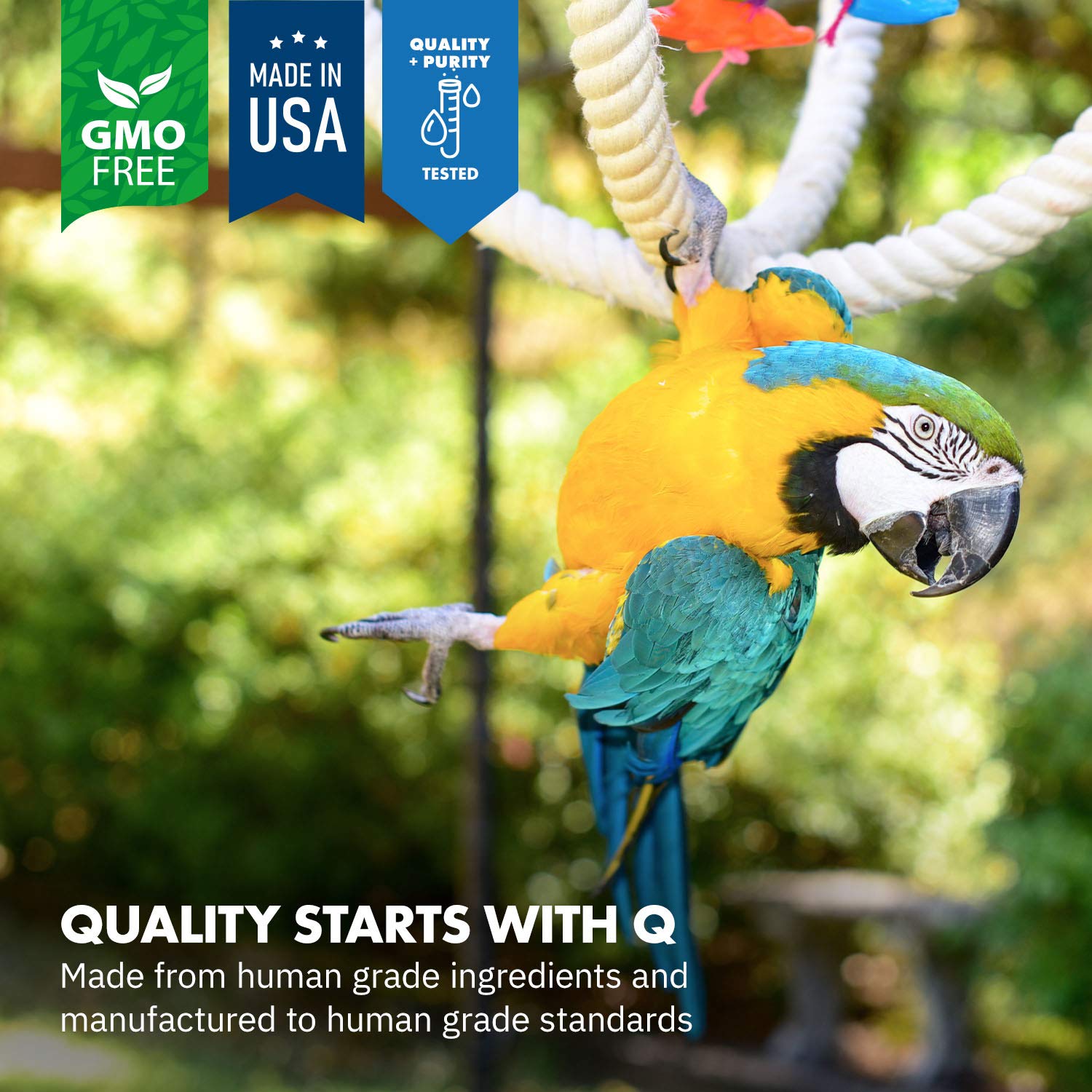 Includes scoop for precise daily dosing on parrot food.