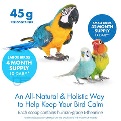 Parrot perched calmly after Avian Calm application.