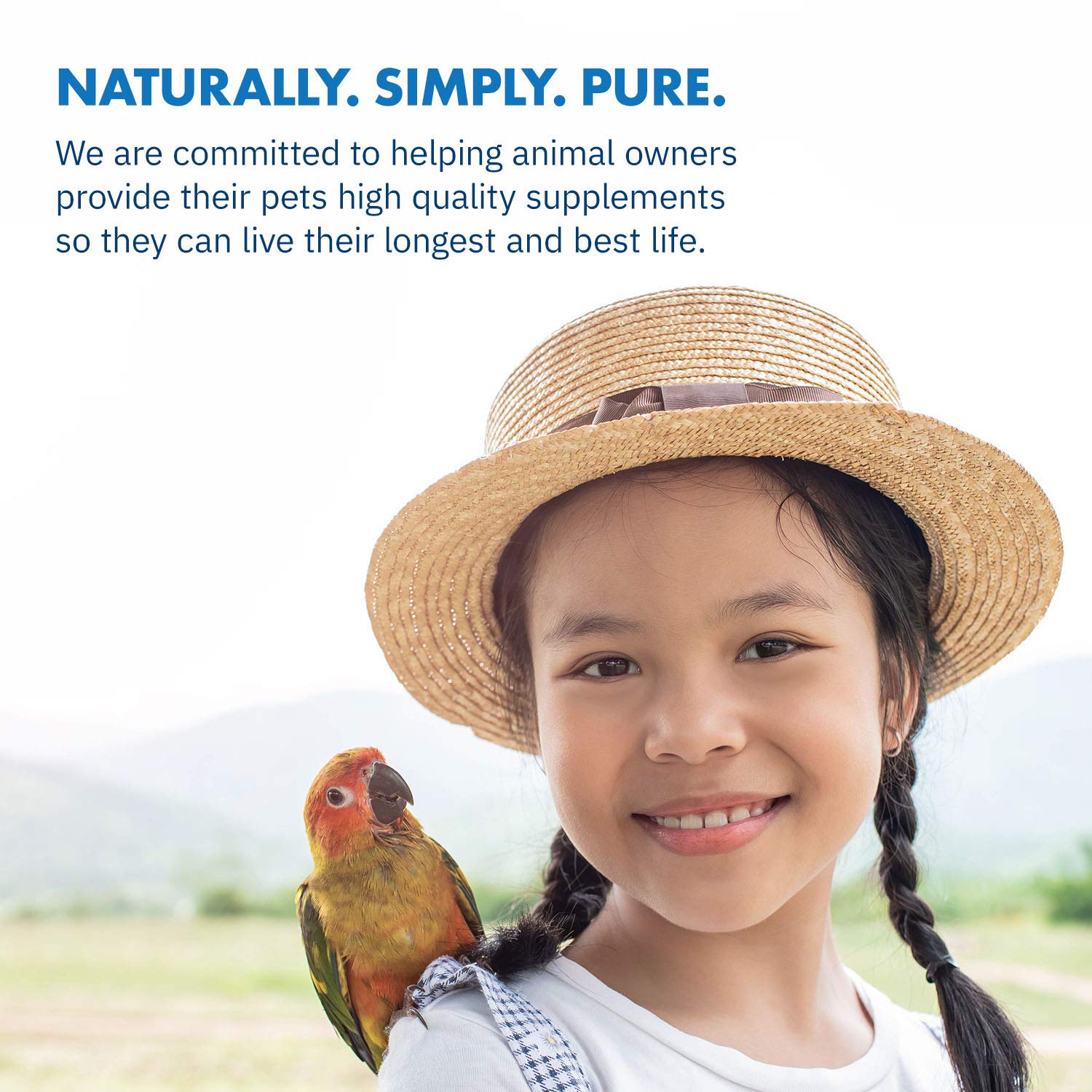 Bird traveling setup shows Avian Calm for travel day ease.