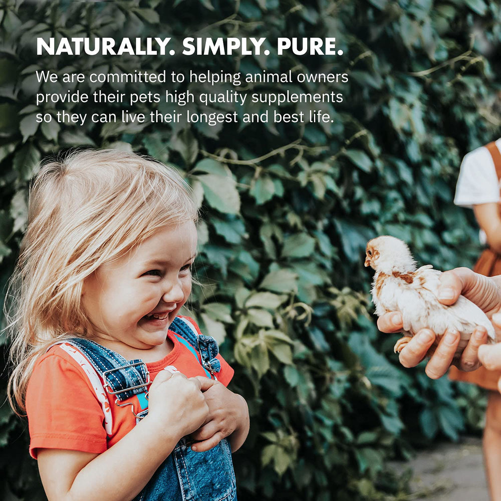 Equa Holistics HealthyGut probiotic solution in a coop setting for birds