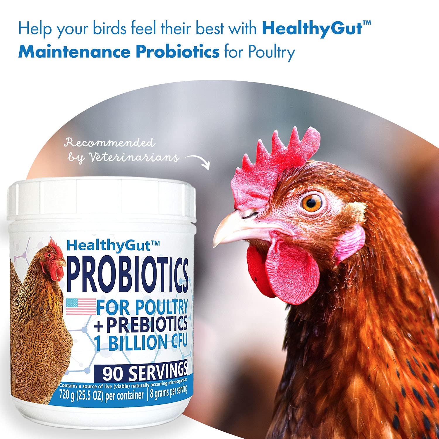 Equa Holistics HealthyGut dry scoop for convenient daily feeding
