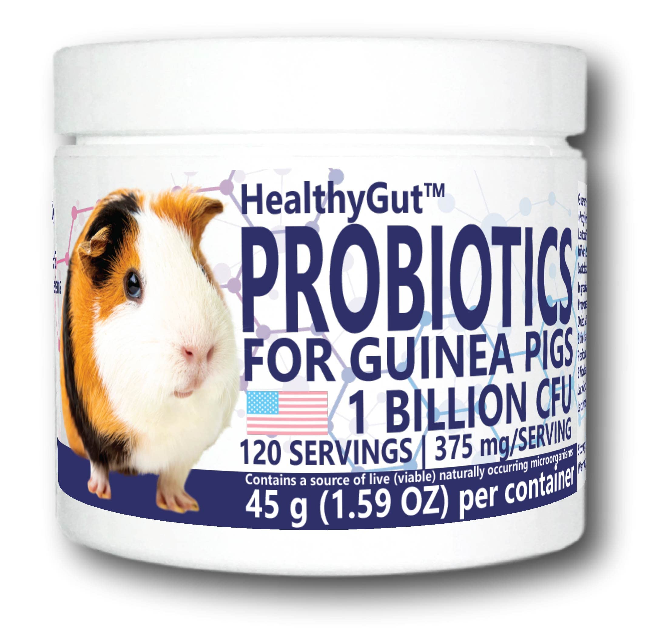 Equa Holistics HealthyGut probiotic bottle for guinea pigs with natural digestive support.