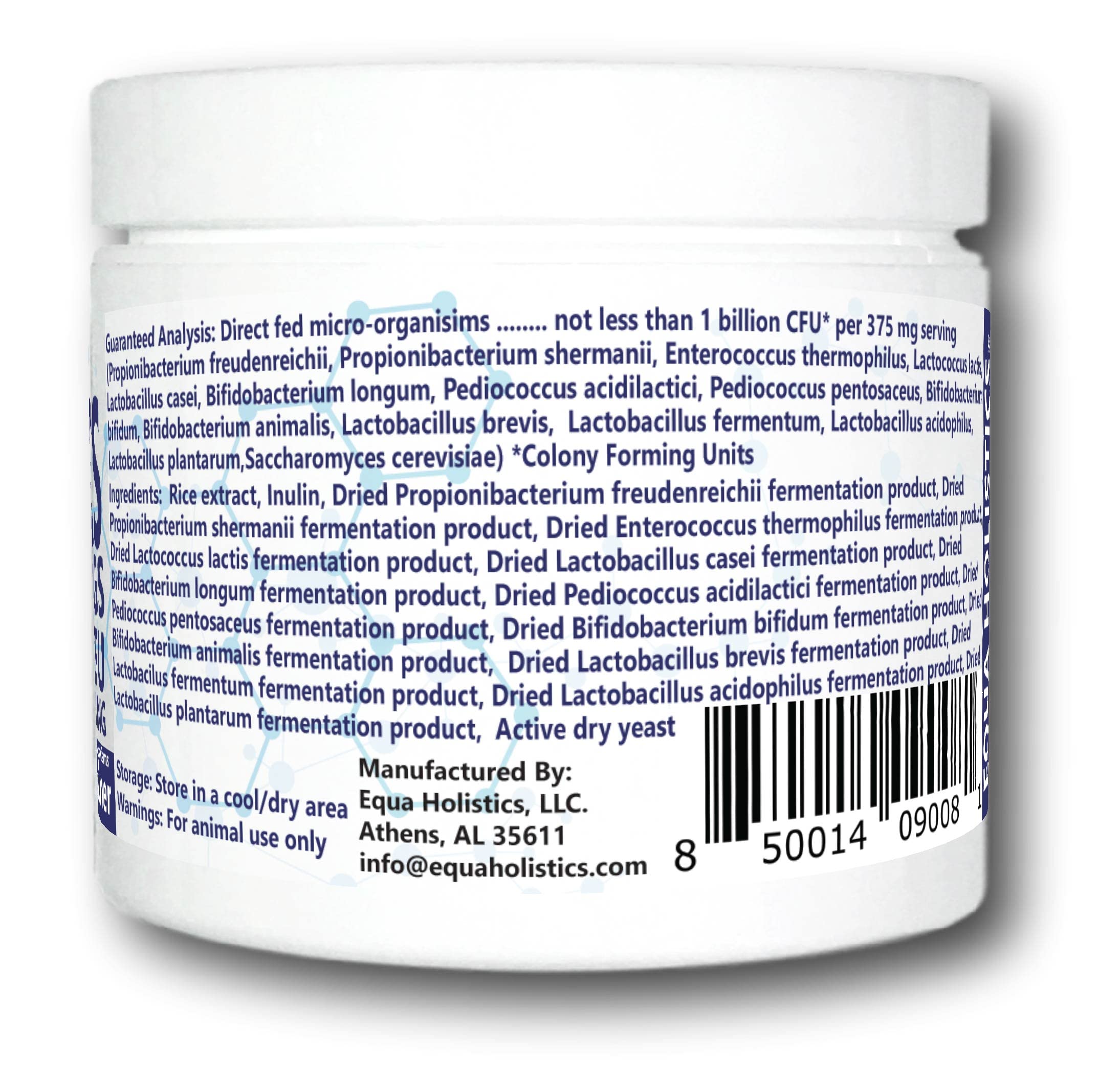 Equa Holistics HealthyGut probiotic powder ready to mix for gentle gut comfort.