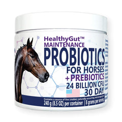 Equa Holistics HealthyGut bottle showing probiotic formula for horses for daily gut balance