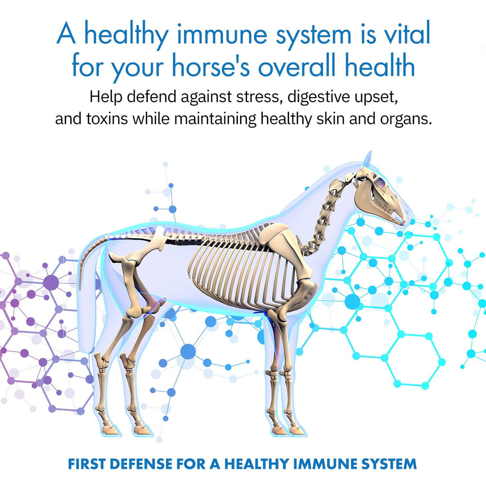 Equa Holistics HealthyGut foal syringes set for foal gut balance starter