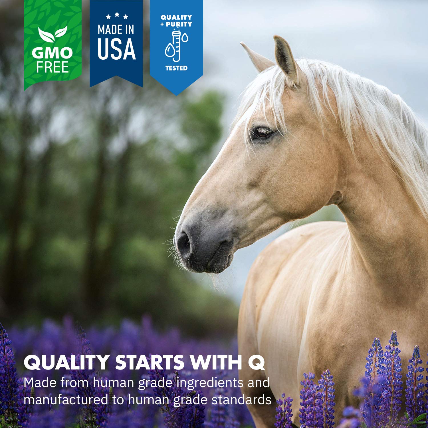 Equa Holistics HealthyGut mare's milk component highlighting natural ingredients for foal microbiome