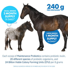 Equa Holistics HealthyGut starter kit packaging for a 7-day introduction to foals