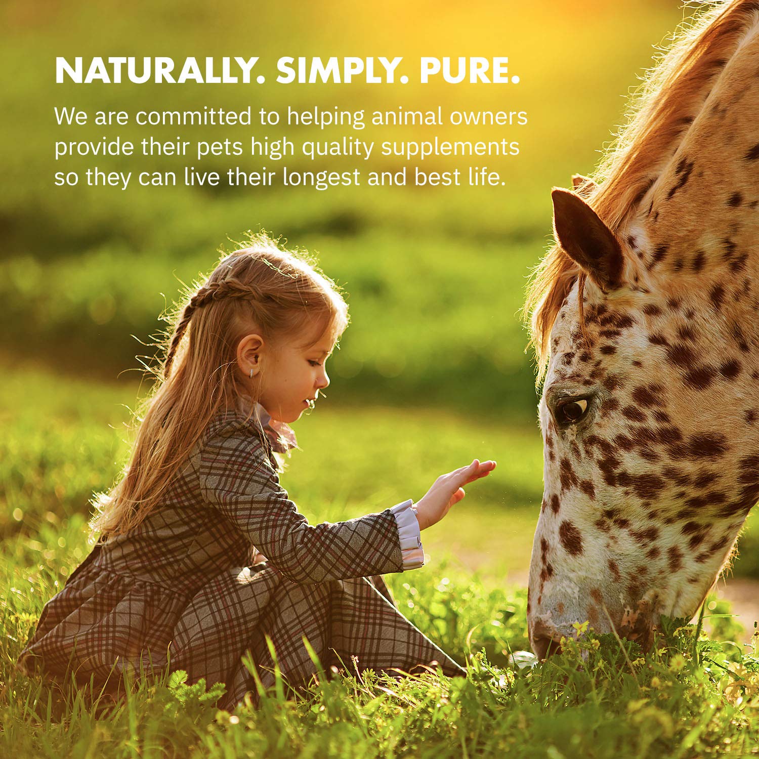 Equa Holistics HealthyGut water-dilution step illustrating simple preparation