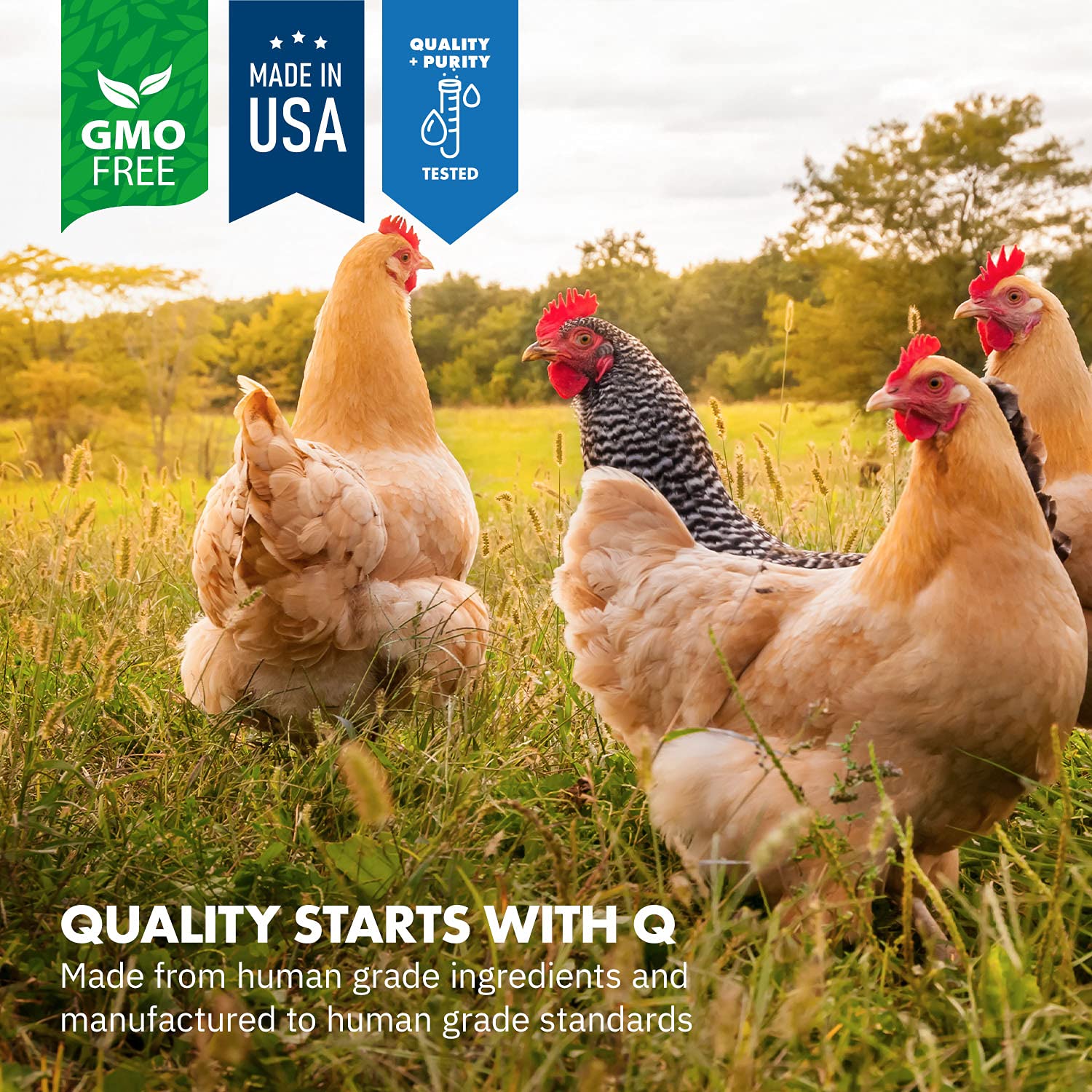 Equa Holistics HealthyGut ingredients panel highlights probiotic species