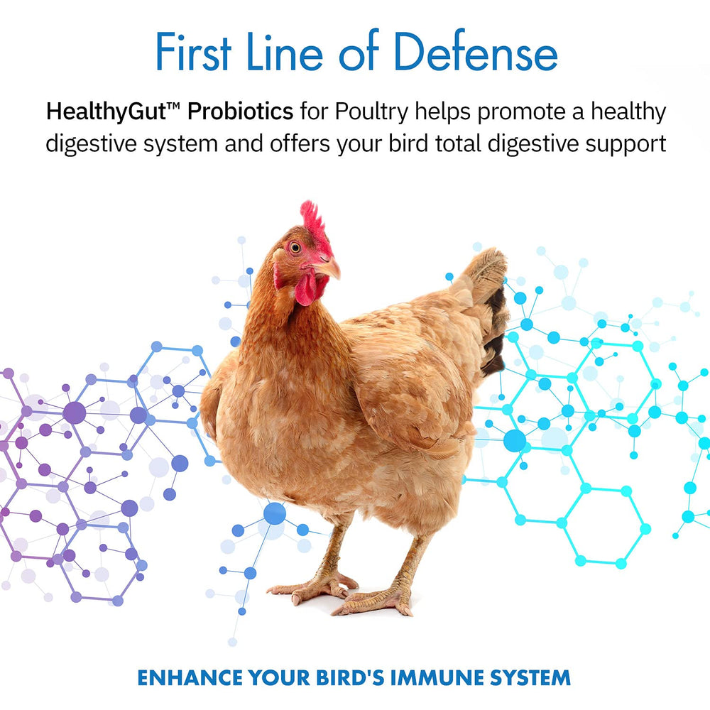 Equa Holistics HealthyGut packaging front shows natural poultry probiotic blend