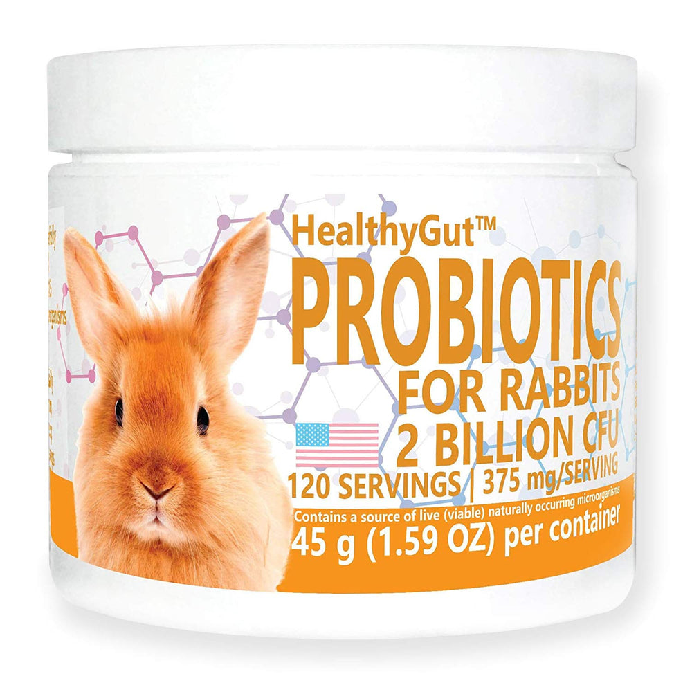 Equa Holistics HealthyGut Rabbit bottle-front shows natural digestive support for pets