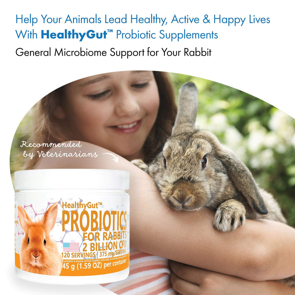 Equa Holistics HealthyGut ingredients-label highlights 15 probiotic species