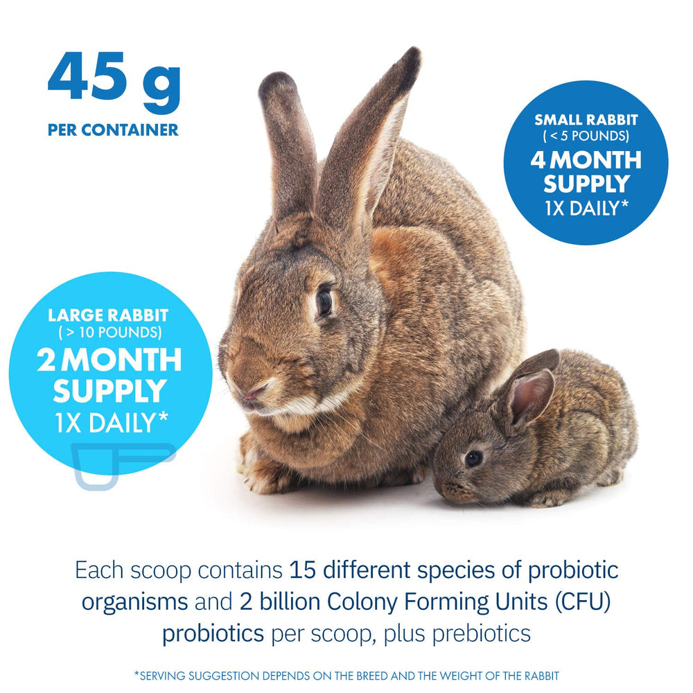 Equa Holistics HealthyGut packaging-side view shows 120 servings