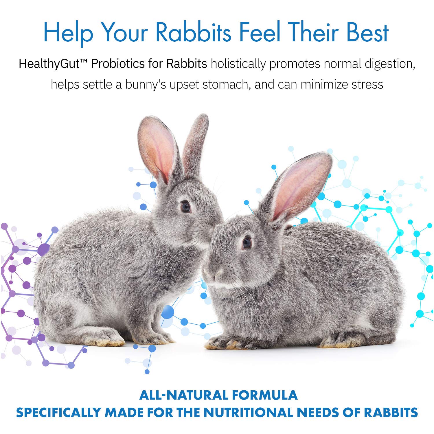 Equa Holistics HealthyGut powder-scoop ready for daily feeding