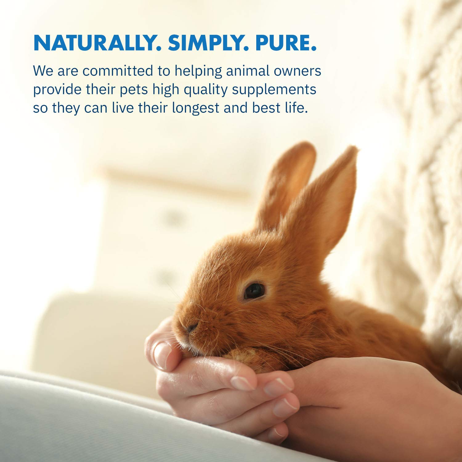 Equa Holistics HealthyGut powder-texture suggests palatable rabbit supplement