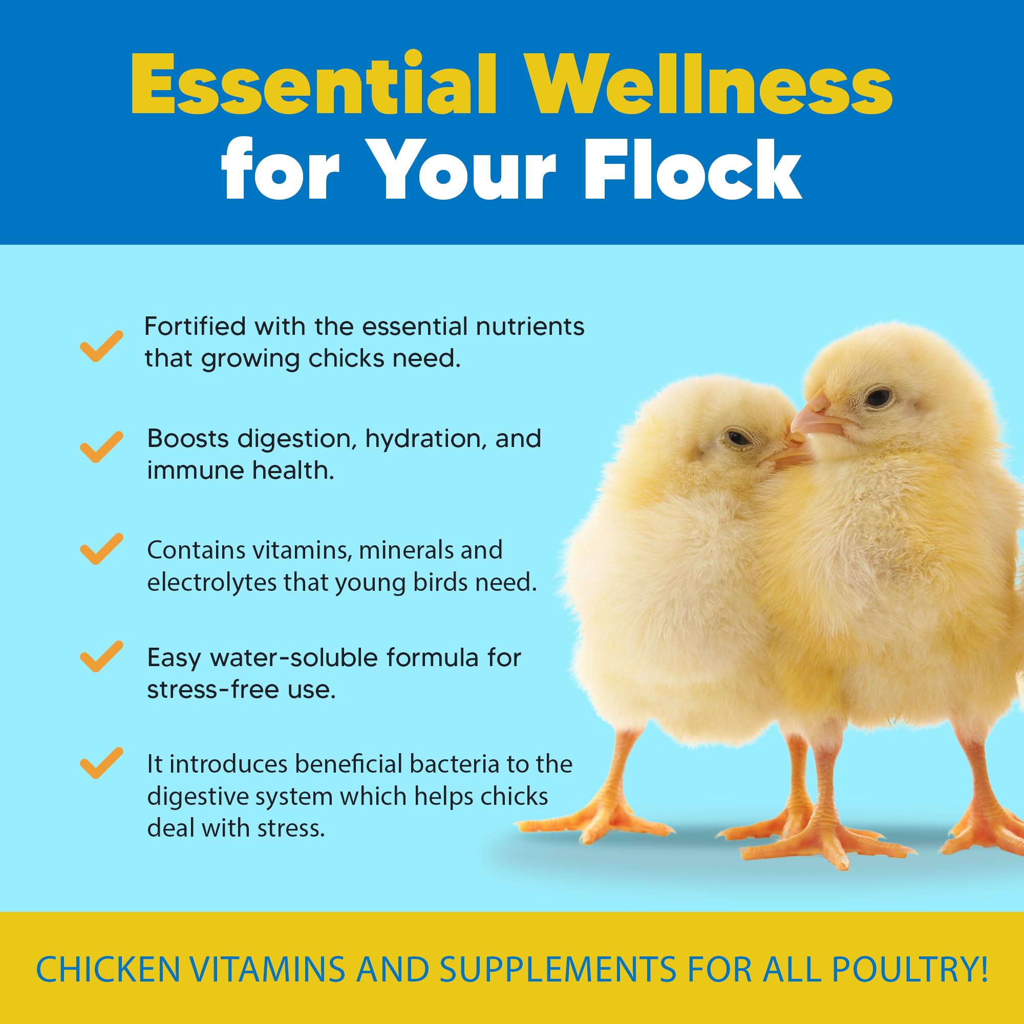Equerry's Chick Boost probiotic scoop for precise daily dosing
