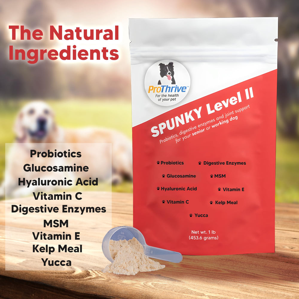 Equerry's Spunky Level II package on counter, emphasizes digestion support and appetite.
