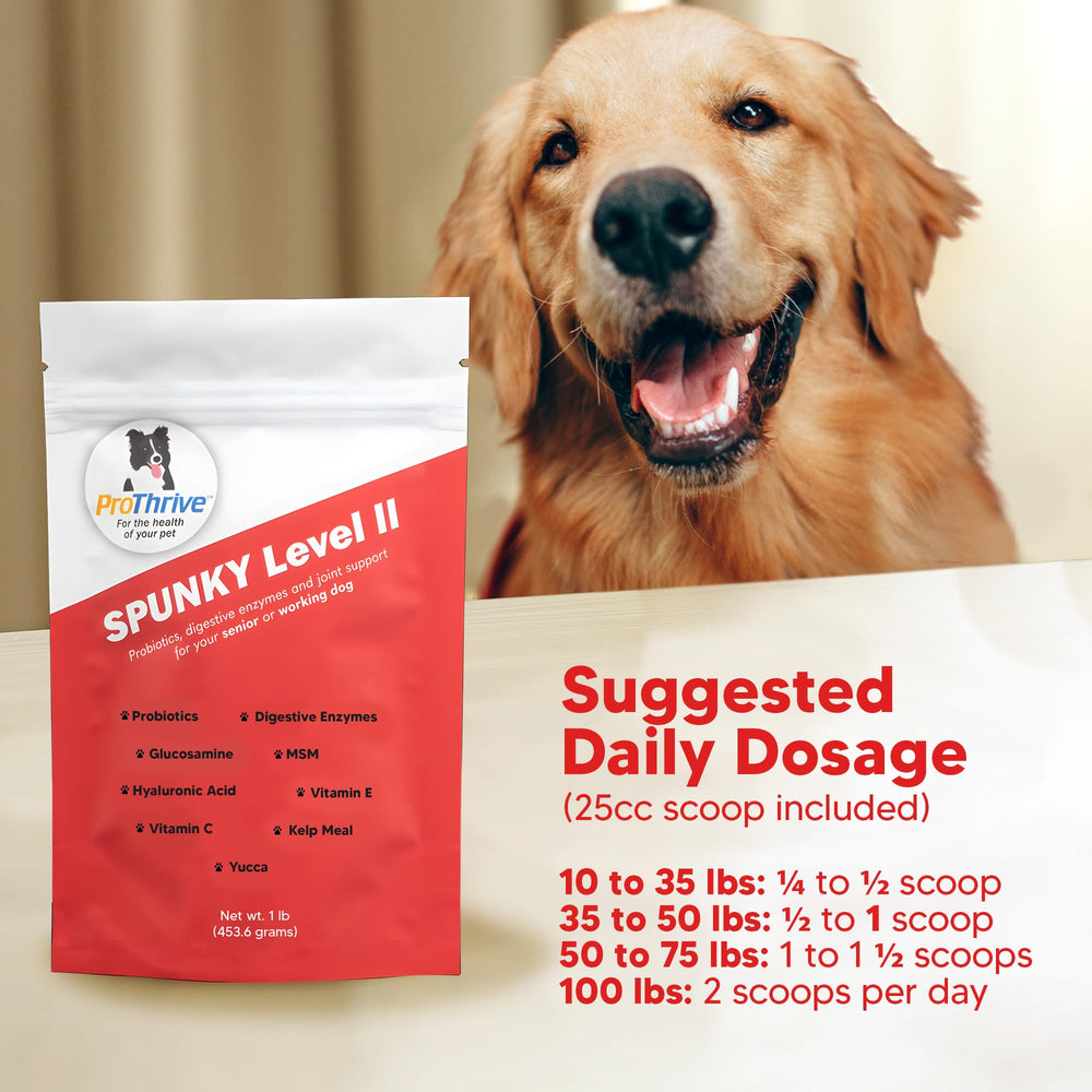 Equerry's Spunky Level II bottle in home setting, supports aging dogs' mobility.