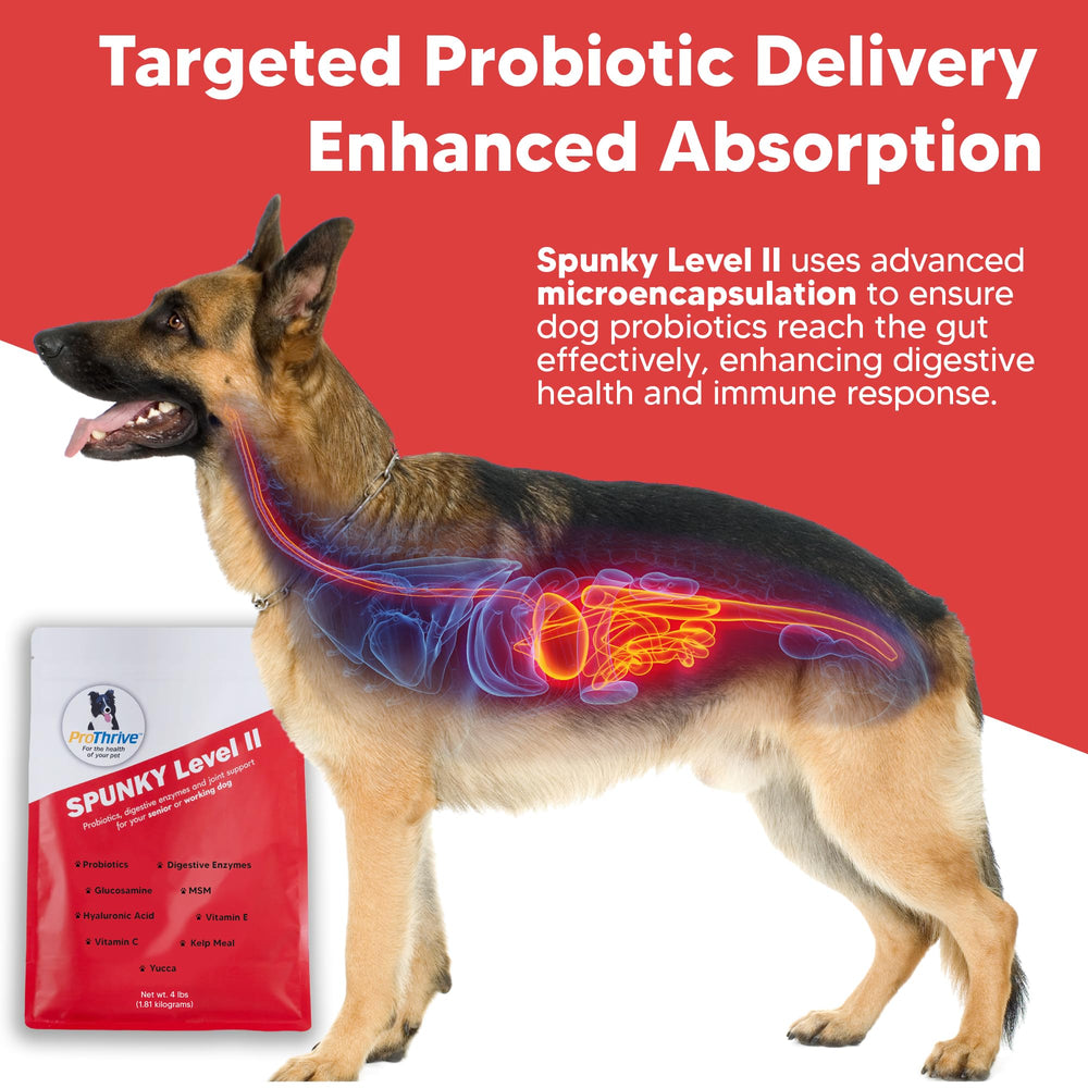 Equerry's Spunky Level II microencapsulated probiotics, for effective gut delivery.