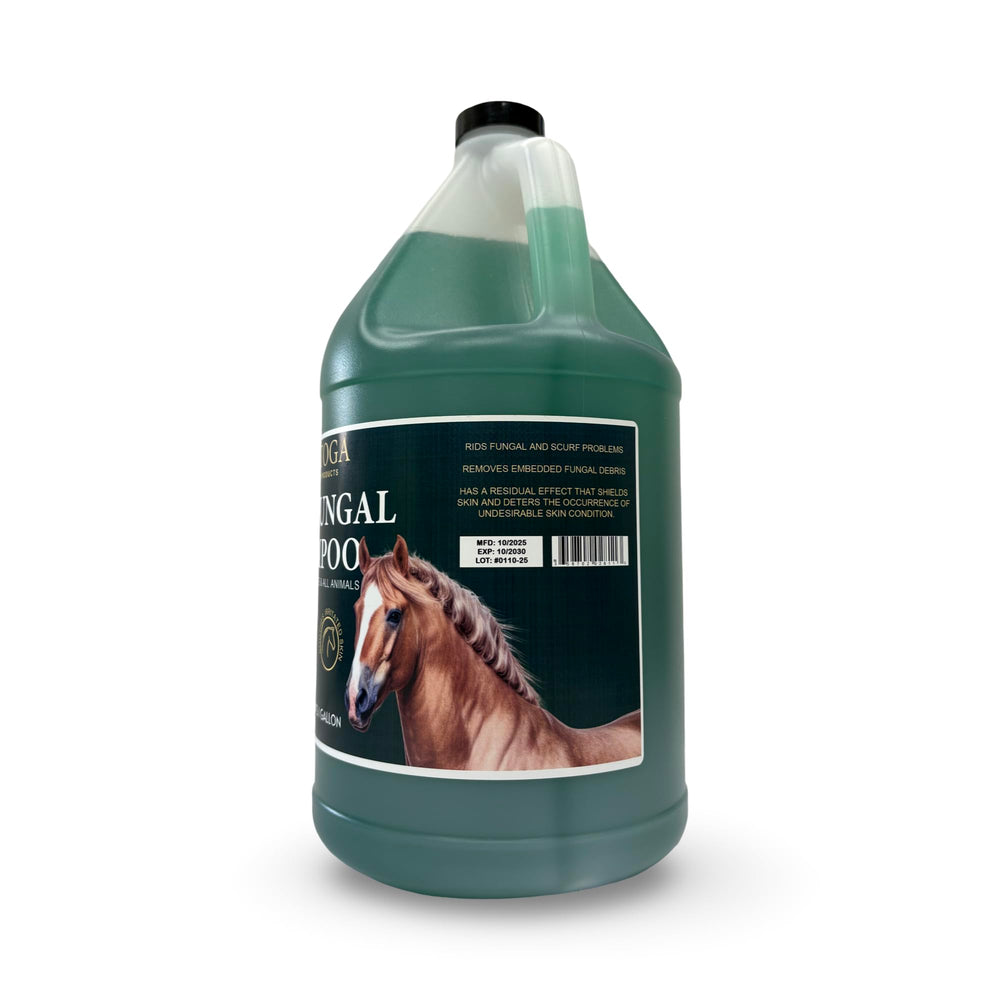 Rich lather on a horse coat from EQUI-SPAZ Saratoga antifungal shampoo demonstrating cleansing action