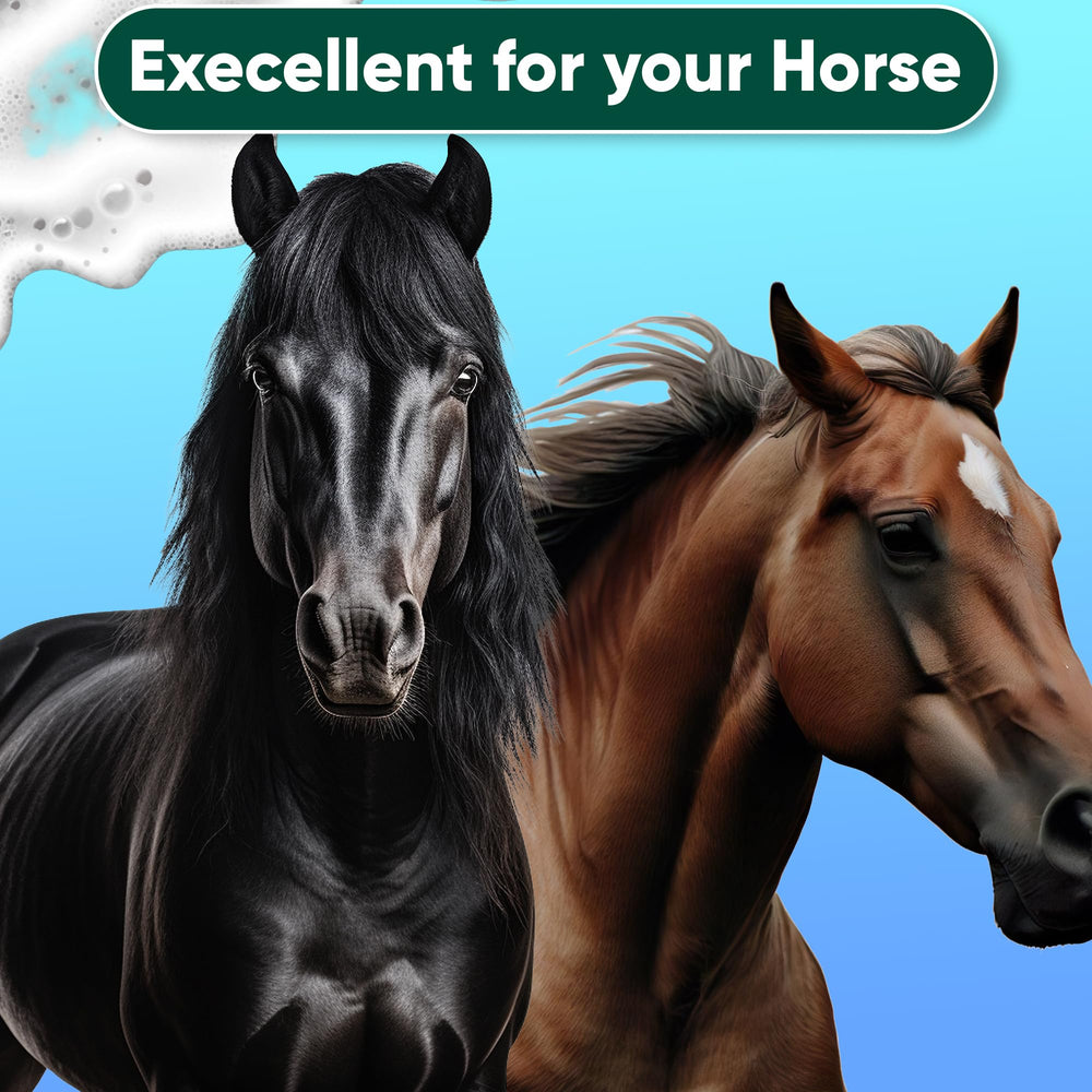 Horse shows a healthy shine after using EQUI-SPAZ Saratoga antifungal shampoo