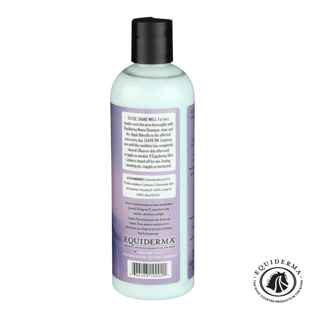 Horse being treated on cannon bone area with EQUIDERMA lotion.