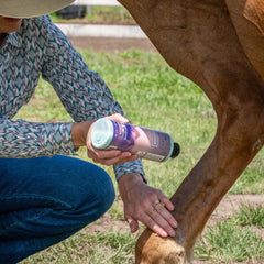 EQUIDERMA Pet Faves Wipes included for quick cleaning around face and legs.