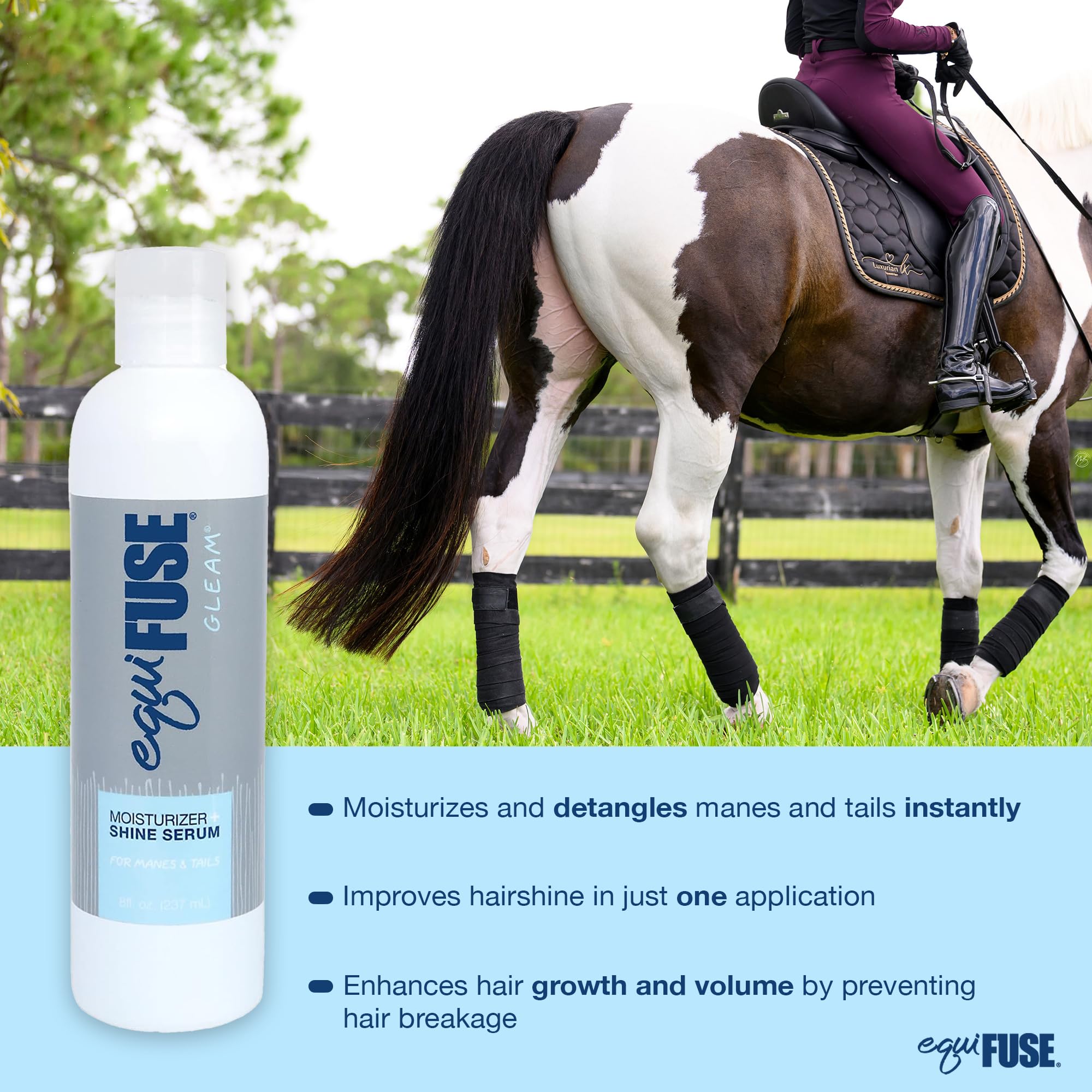 EquiFUSE Gleam hair glow on horse highlighting natural shine.