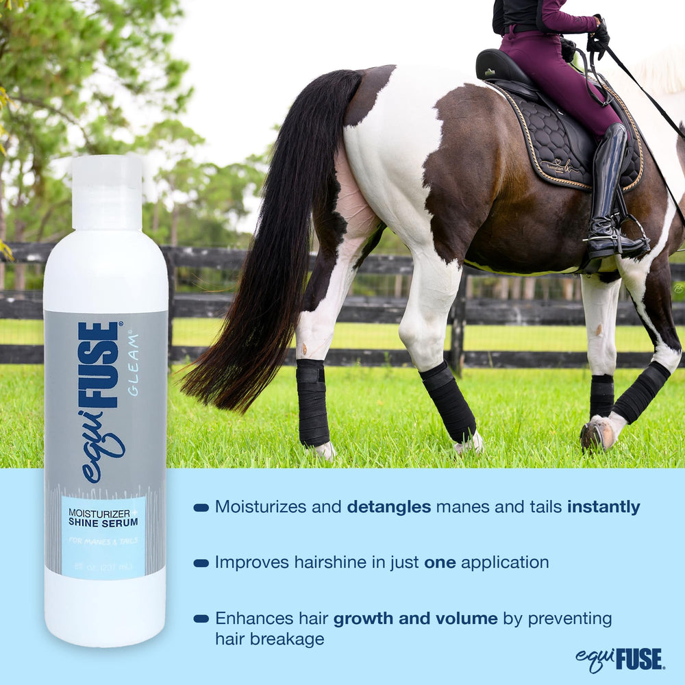 EquiFUSE Gleam hair glow on horse highlighting natural shine.