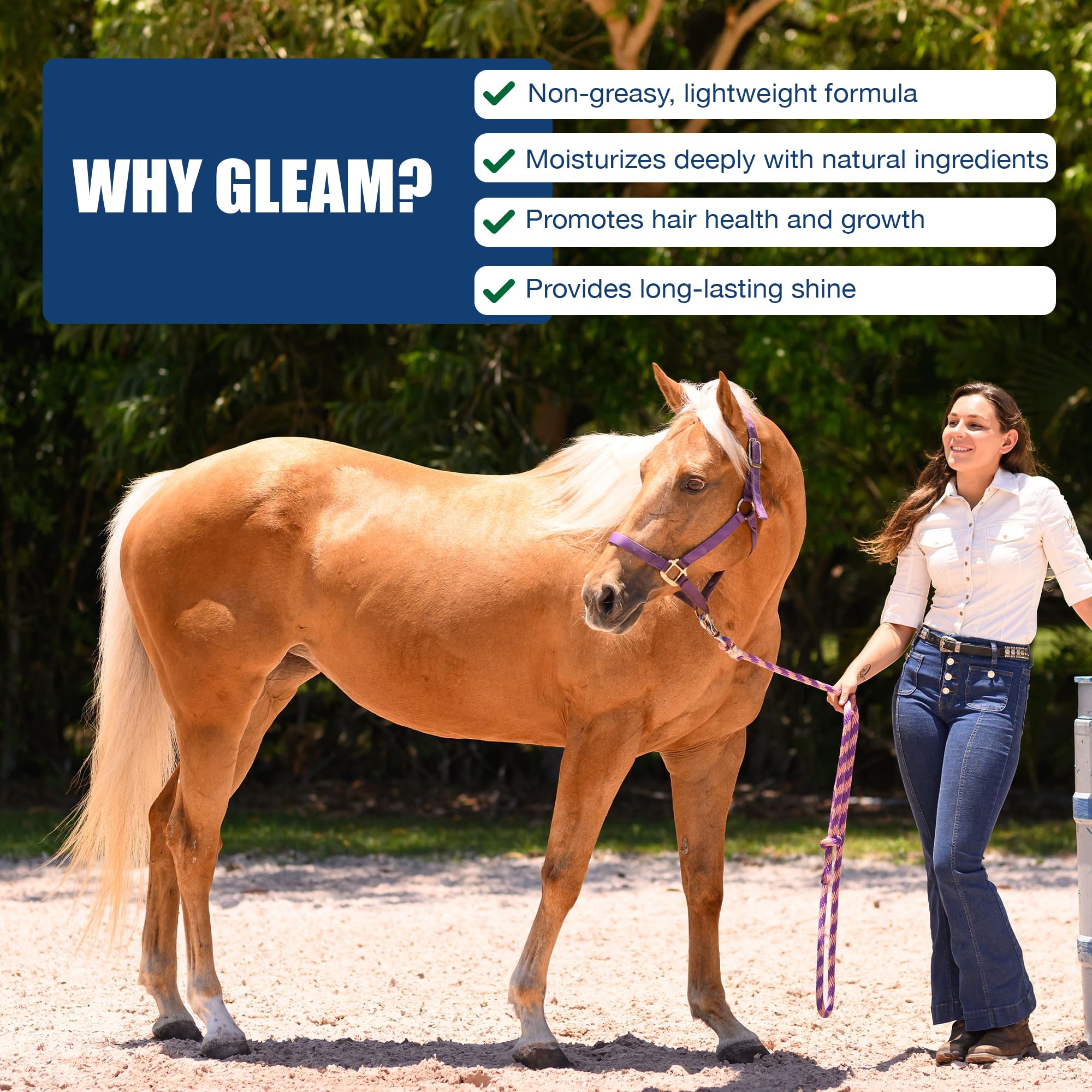 EquiFUSE Gleam tail shine close-up showing luster.