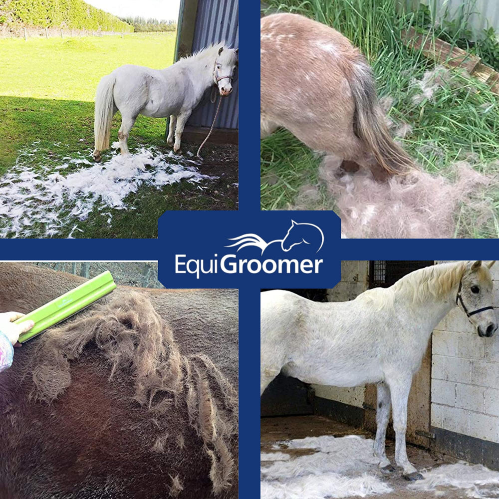 EquiGroomer coat-care routine removes dirt and dander effectively