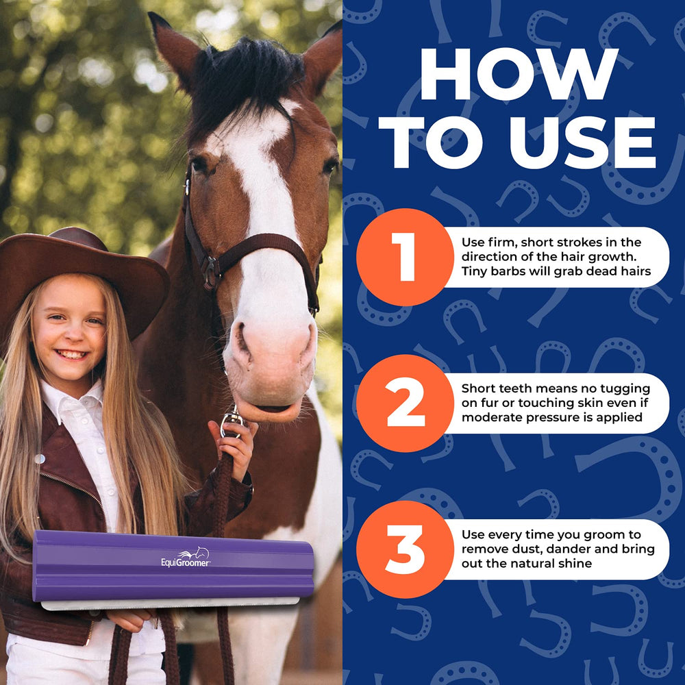 EquiGroomer coat-shine enhancement visible after regular use