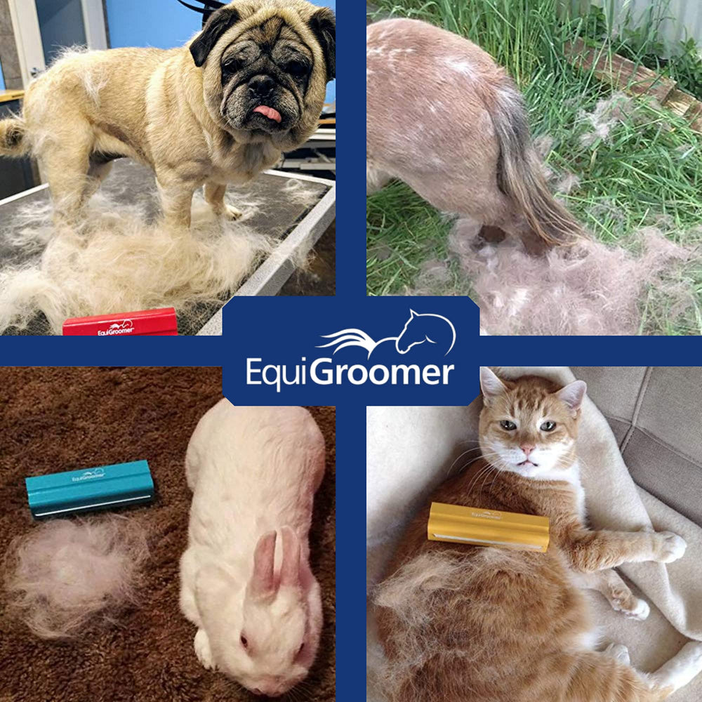 EquiGroomer deshedding tool removes fur and dirt gently