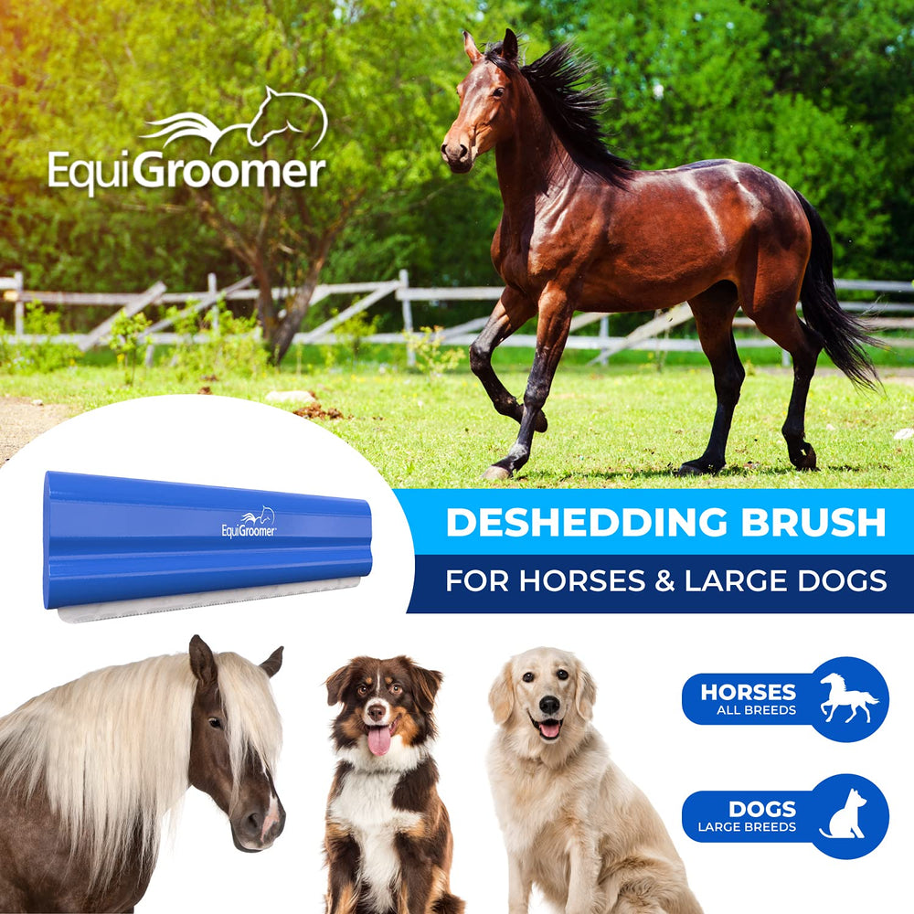 EquiGroomer hardened steel blade close-up gently removes dead hair without pulling.