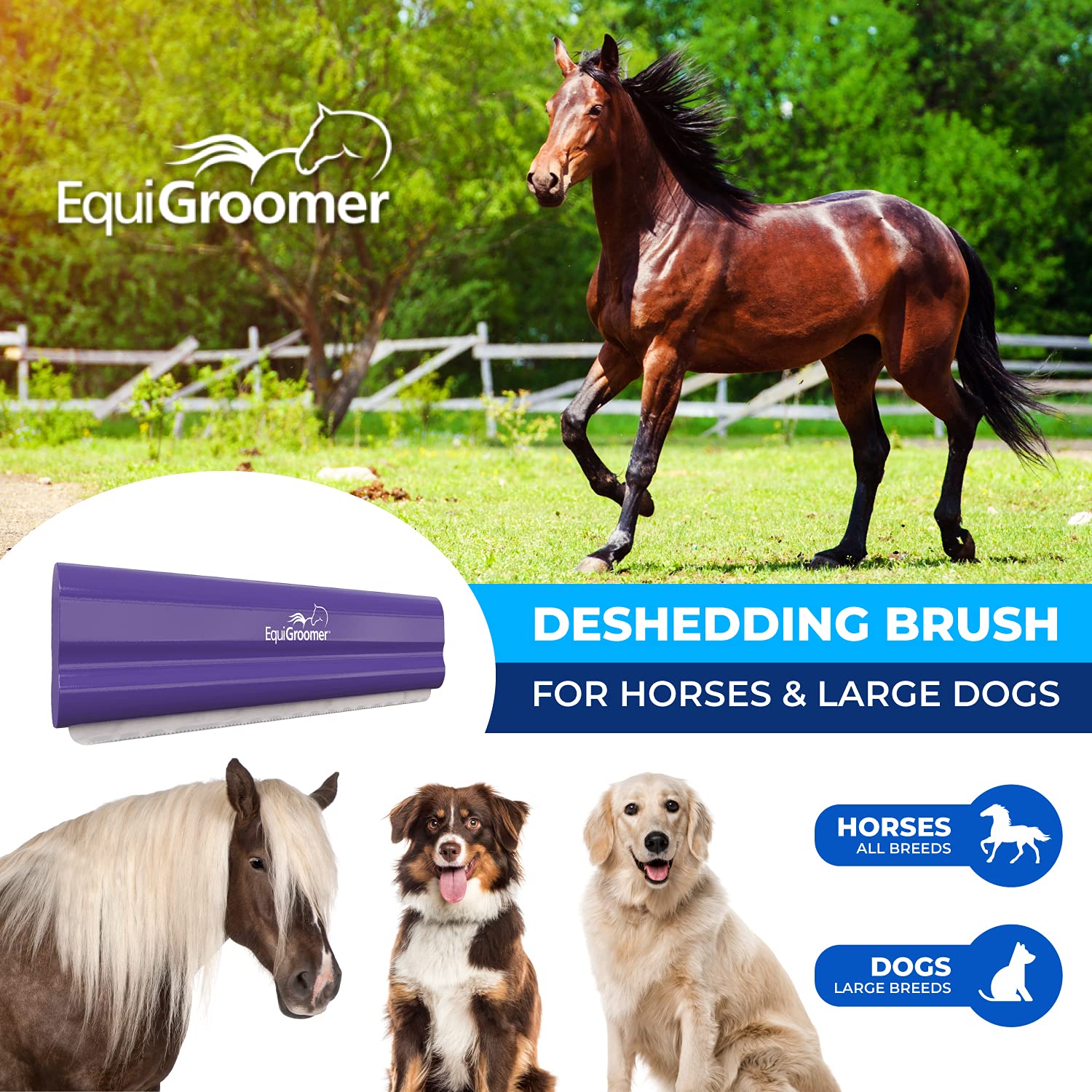 EquiGroomer hardened-steel-blade close-up shows powerful deshedding action