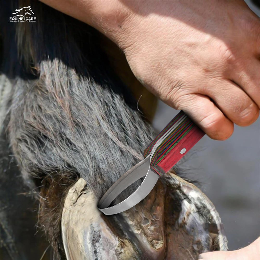 Equine Care durable stainless-steel construction ensures long-lasting performance