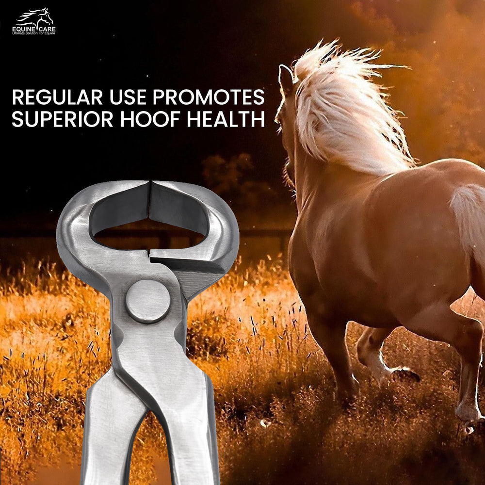 Equine Care hoof nipper 15-inch draft-horse leverage aids high-demand trimming.