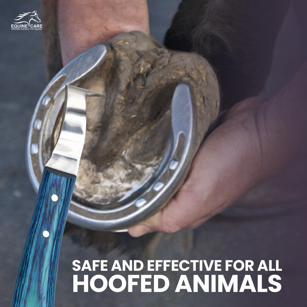 Equine Care ambidextrous design for right or left-handed users