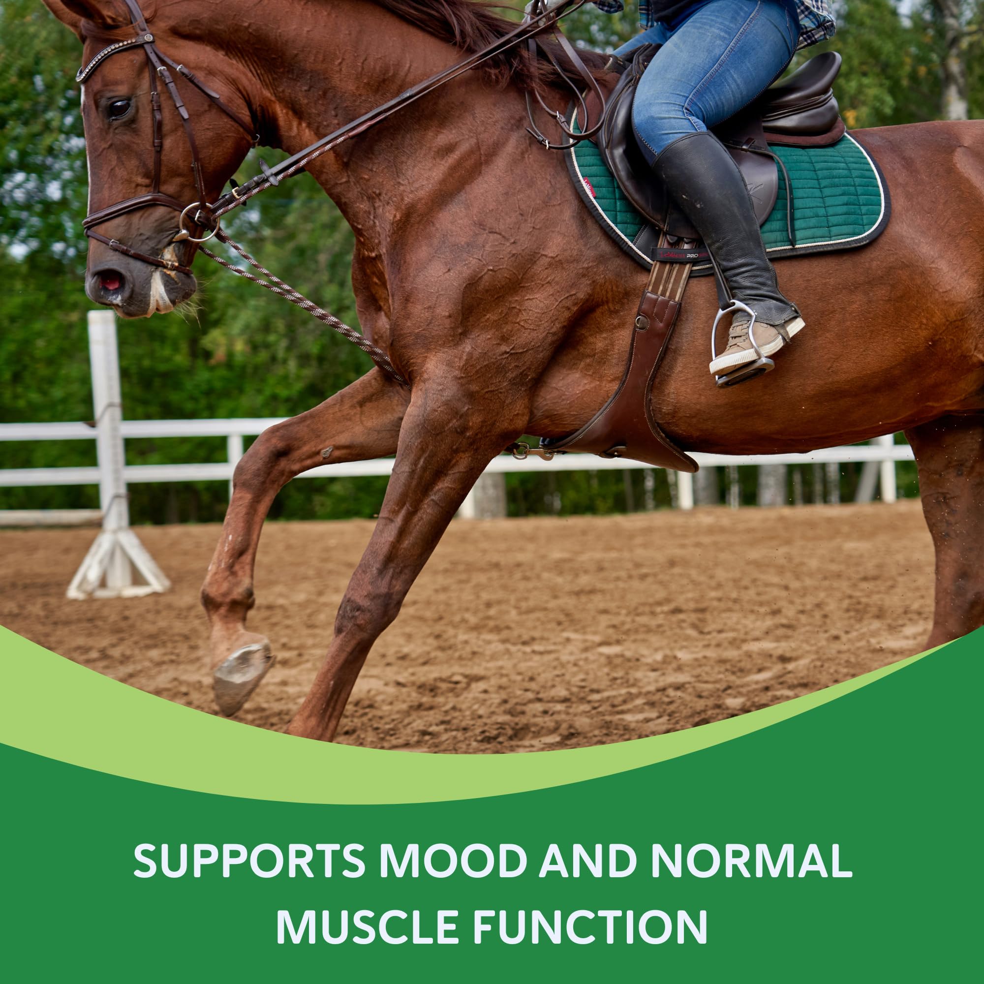 Happ-E-Mare powder being mixed into feed to support mood balance in horses.