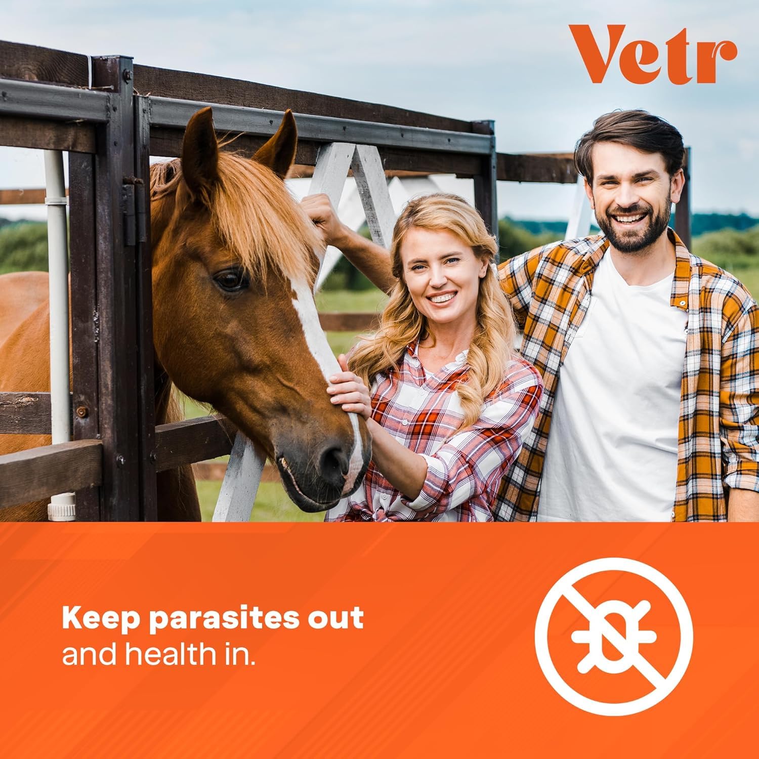 Equine Prime ivermectin 6cc vial with dosing syringe for controlled application.