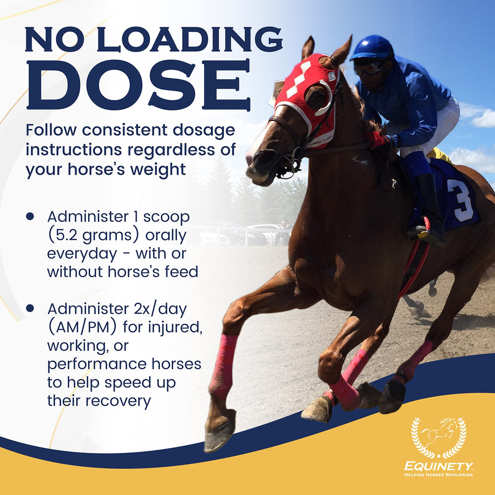 Equinety Horse XL label indicating digestive and immune support for overall wellness.