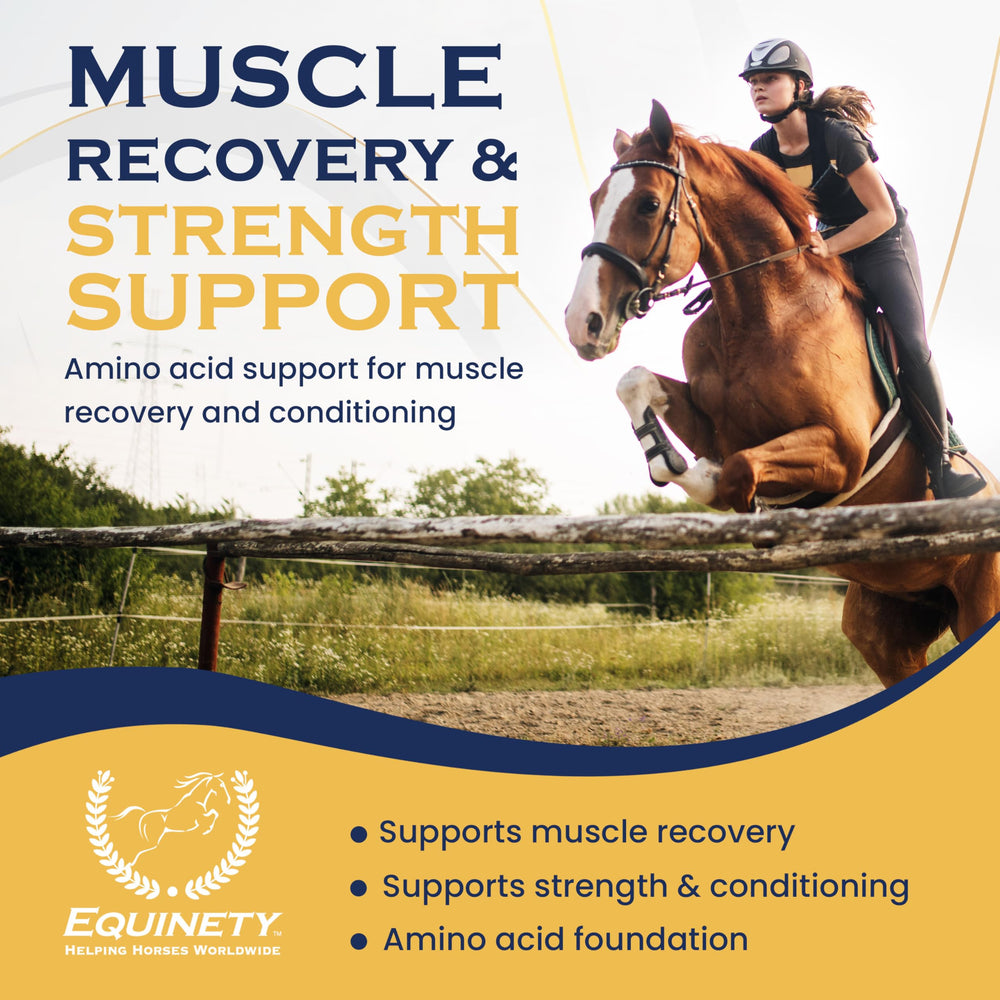 Equinety Horse XL hoof and joint area visual promoting hoof and joint support.