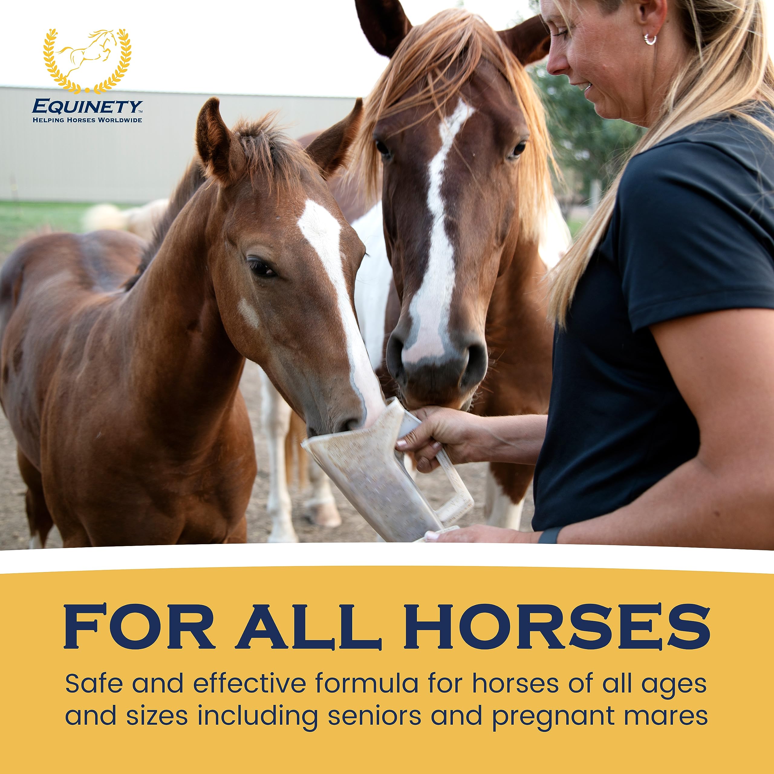 Equinety Horse XL training scene implying performance recovery potential.