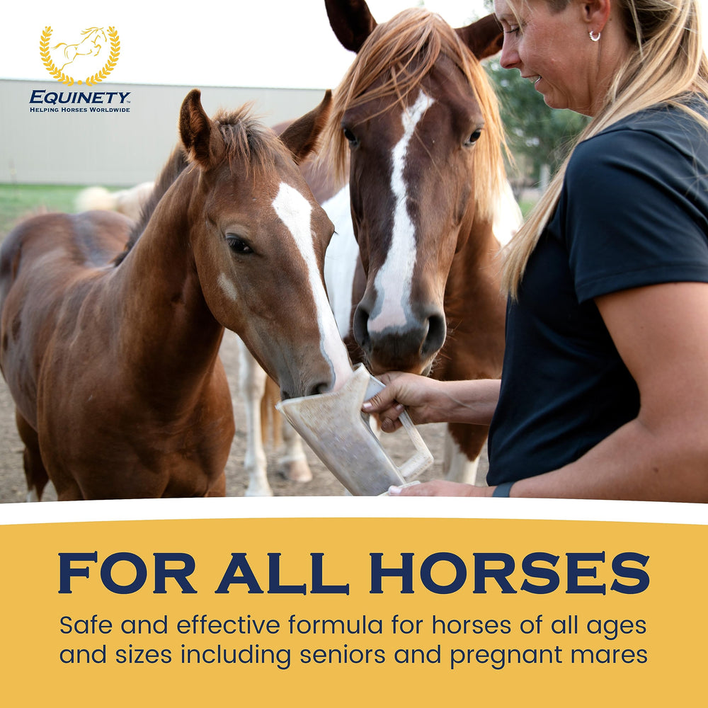 Equinety Horse XL training scene implying performance recovery potential.