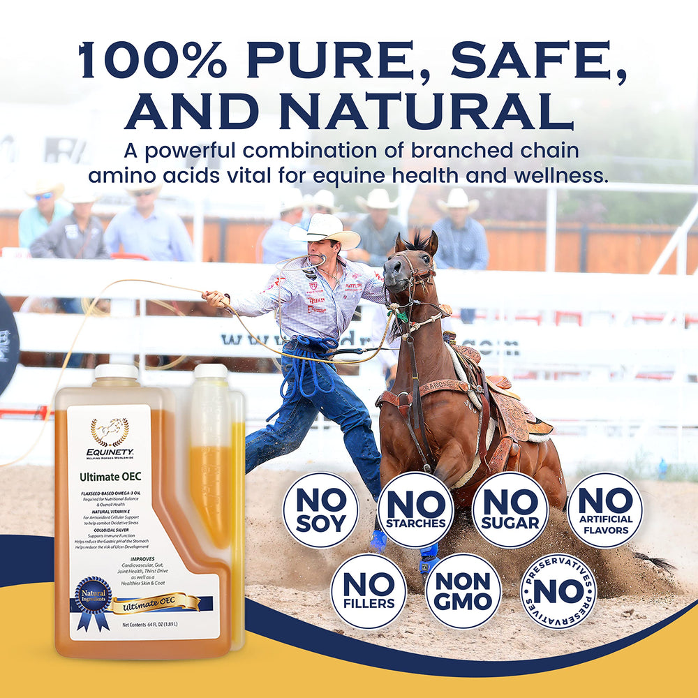 Horse in stable ready to receive Equinety Ultimate OEC.