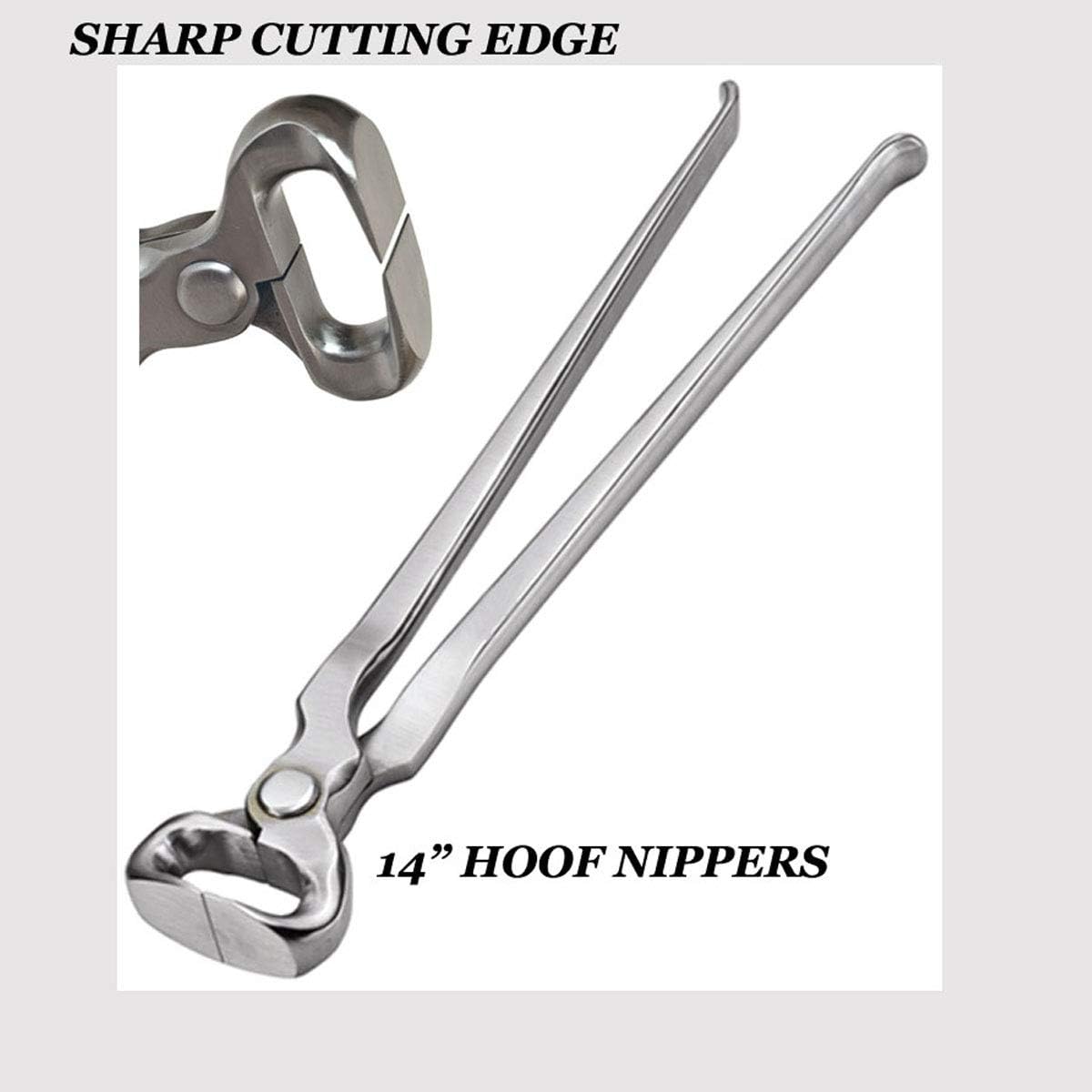 Equinez Tools dull finish reduces glare and suits outdoor field use
