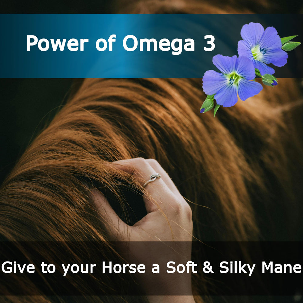 EQUIPURE Equine Oil hoof moisture and skin health support.