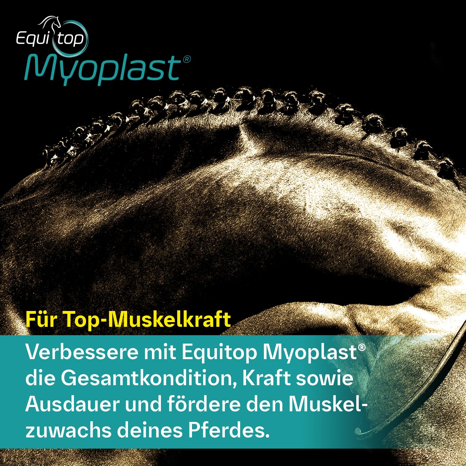 EQUITOP Myoplast bottle pour demonstrates easy dosing for training readiness.